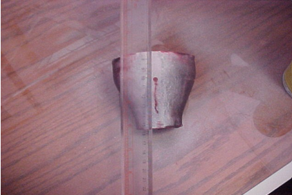 ndt service